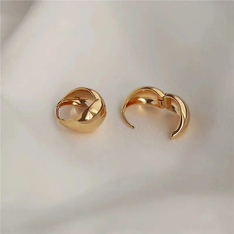 Trendy Stainless Steel Hoop Earrings 6
