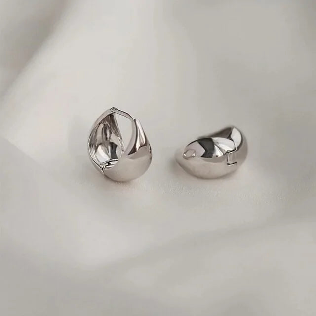 Trendy Stainless Steel Hoop Earrings 8